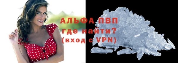 мяу мяу мука Дмитров