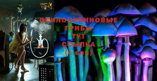 амф Майский