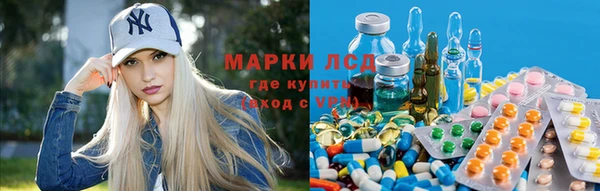 прущая мука Дмитриев