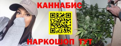 альфа пвп Волгодонск