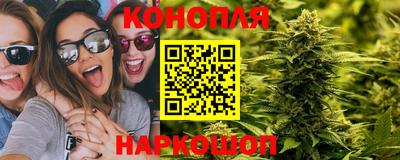 альфа пвп Волгодонск