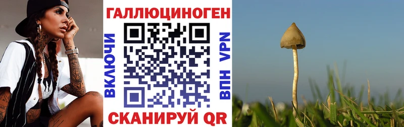 Галлюциногенные грибы Magic Shrooms  продажа наркотиков  Железноводск 