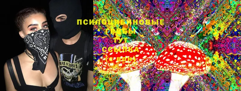 Псилоцибиновые грибы Magic Shrooms  Железноводск 