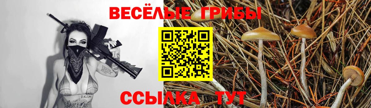 Псилоцибиновые грибы Cubensis Железноводск