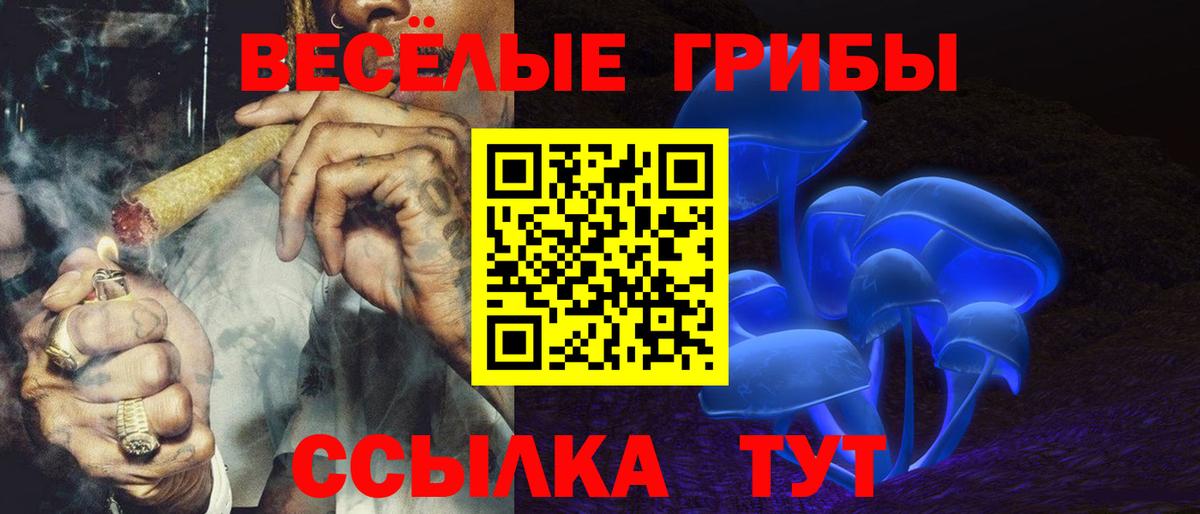 Железноводск  Псилоцибиновые грибы Psilocybine cubensis  Вход с VPN 