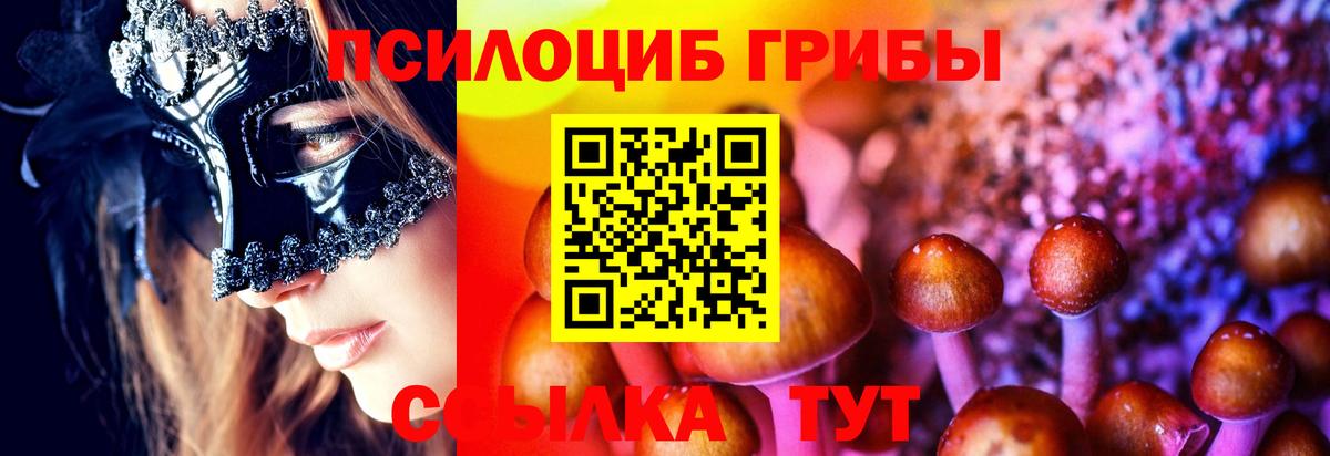 Гашиш  Вход с VPN  Кокаин  Мефедрон  Плюхи  Железноводск  Alpha-PVP  Марихуана  НБОМе  Меф  Каннабис 