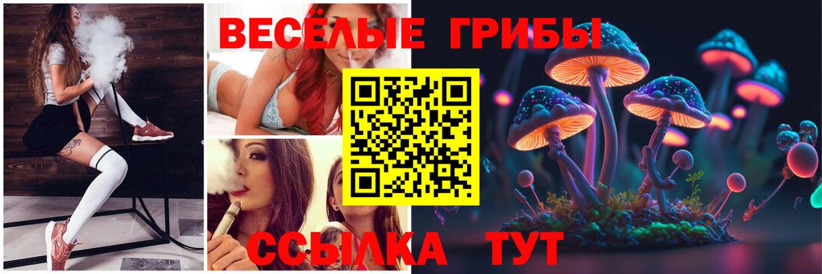 наркошоп  Железноводск  Псилоцибиновые грибы Psilocybine cubensis 